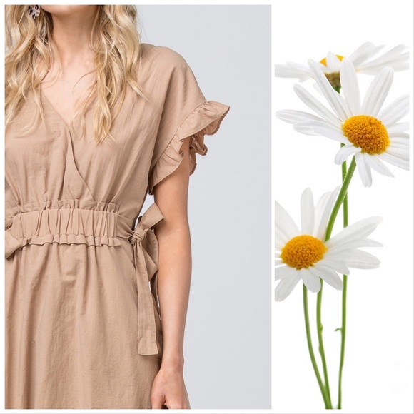 Cecilia Safari Taupe Gathered Waist Dress - Picture 2 of 6